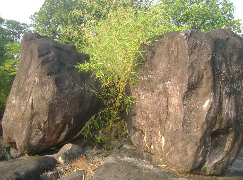 pandavan-para-img